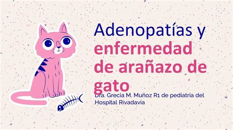 Adenopat As Y Enfermedad De Ara Azo De Gato Grecia Moreno Mu Oz Udocz