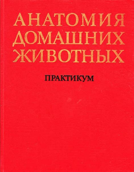 Дисциплина "Анатомия сельскохозяйственных животных". Практикум по ...