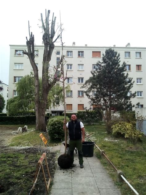 Les Meilleurs Jardiniers Champigny Sur Marne Pour Entretenir Votre Jardin