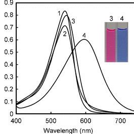 Absorption Spectra Of M Pr In Mm Phosphate Buffer Solution At Ph