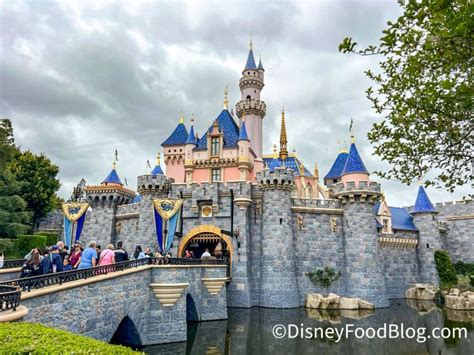 Update Naked Guy In Disneyland Hospitalized And Arrested The Disney Food Blog