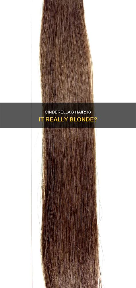 Cinderella S Hair Is It Really Blonde ShunSalon