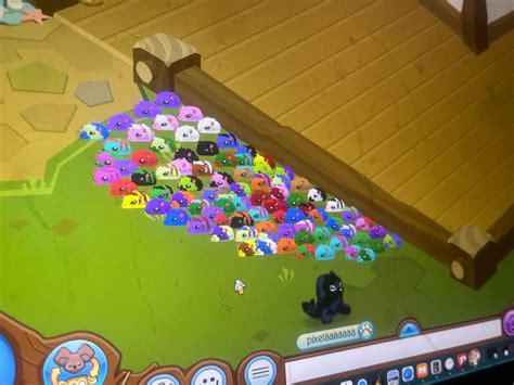 All 87 Of My Hamsters Rautism