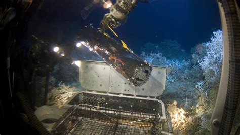 Mysterious Hole In The Ocean Is From An Ancient Time?