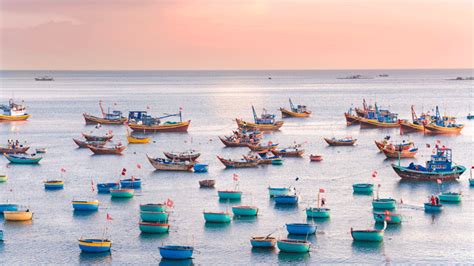 Tour Cao C P Phan Thi T N M I N Bikini Beach L U I R U Vang