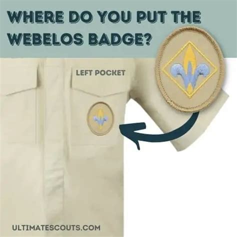 Ultimate Guide To Webelos Cub Scout Awards Checklist 2024 Update