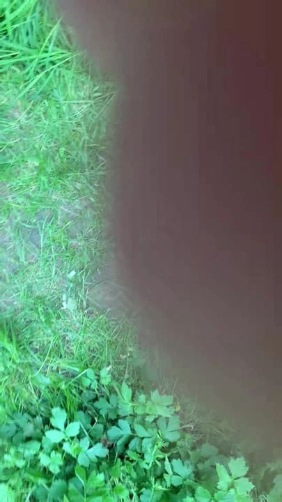 Fun In A Cruising Area Gay Amateur Amateur Porn Feat Owlbimaik Xhamster