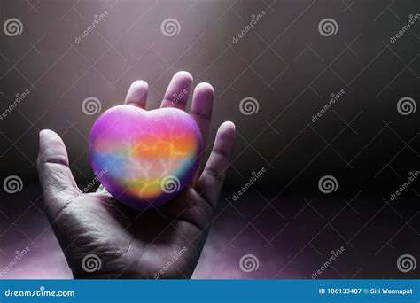 Freedom To Love For Gay And Homosexual Concept Rainbow Heart On Stock Image Image Of
