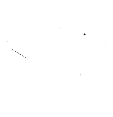 Lycée Claude Gay OSORNO Colegio Francés de OSORNO afosorno