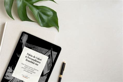 Paleta De Culori A Brandului Tau Ghid Practic Ama Mihaescu