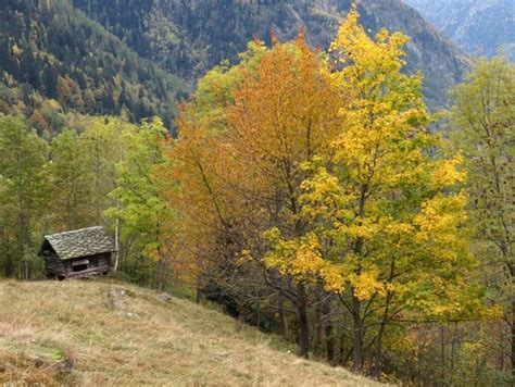 Ricette Dottobre Trekking E Il Foliage Delle Valli Del Rosa I Colori