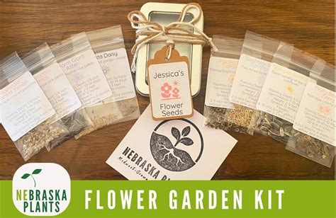 Flower Garden Seed Kit Flower Seed Gift Collection of 8 Seed Varieties ...