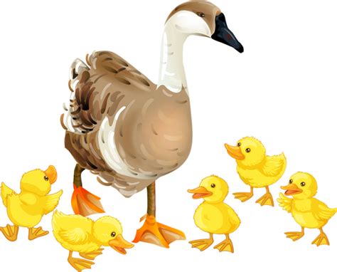 Baby geese clipart 17 free Cliparts | Download images on Clipground 2025