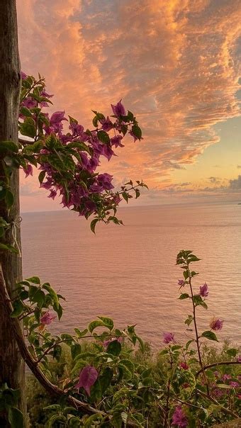 СПЛЕТНЯ Катя Саммер — А говорила, боишься высоты, — Данил снова ...