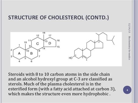 Cholesterol synthesis steps and regulation