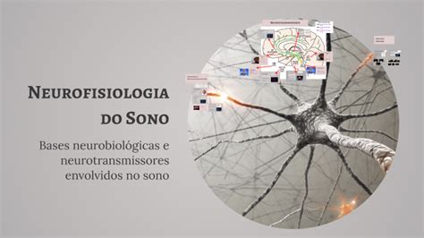 Neurolab Med Do Sono E Neurofisiologia - Neurofisiologia do Sono by ana carolina sobreira on Prezi