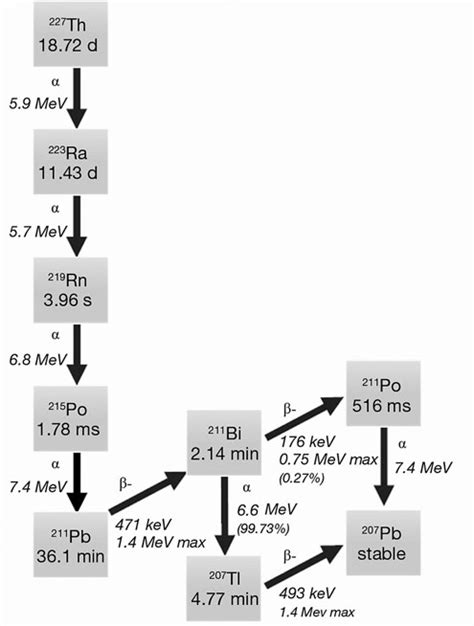 The Thorium-227 decay chain. | Download Scientific Diagram