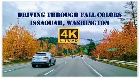 Driving Through Fall Colors Autumn Foliage Issaquah Washington K