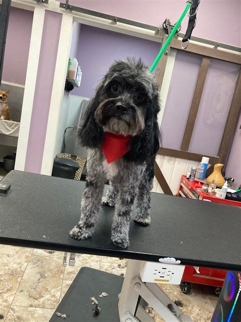EarthWise Pet Ashland KY | Lexington KY