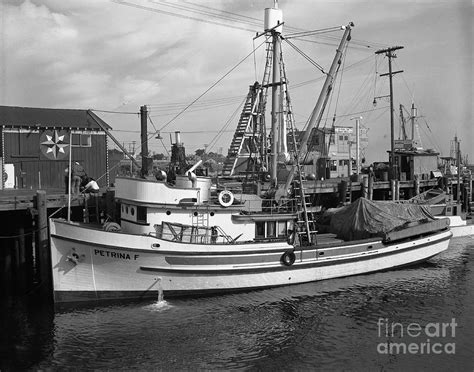 Petrina F Purse Seiners Monterey Circa 1940 Photograph By California