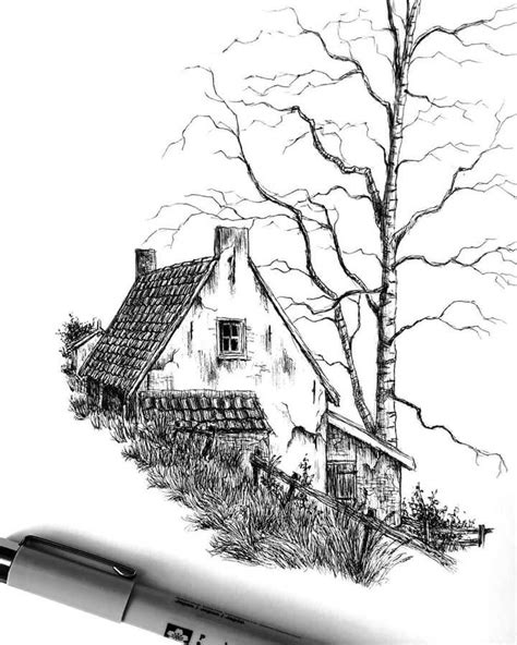 architecture  nature  ink drawings ink drawing techniques ink