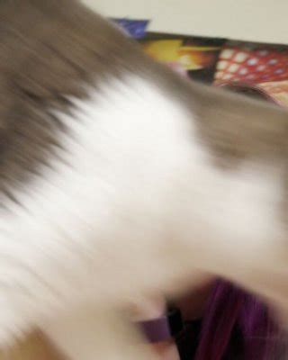 Sexy Aymee Nude Porn Pictures XXX Photos Sex Images PICTOA