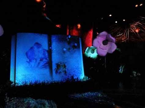 日本橋デジタルアートで一足早いお花見を FLOWER by NAKED 立春開催中 metropolitana tokyo メトロポリターナトーキョー