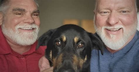 Perro fue abandonado por familia que pensó que era gay Lo adoptó pareja del mismo sexo sabes cl