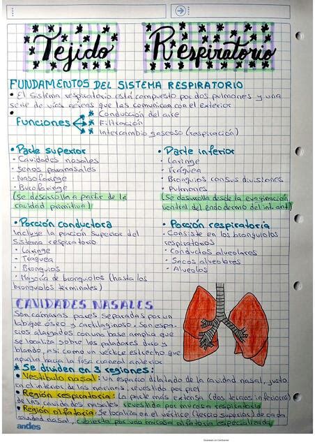 Resúmen Tejido Respiratorio Estudia con Su uDocz