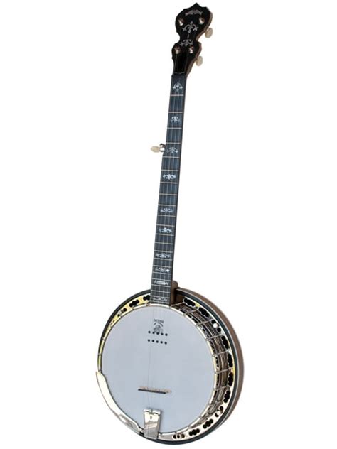 Electric Banjos for Sale | Buy 5 & 6-String Electric Banjos Online ...