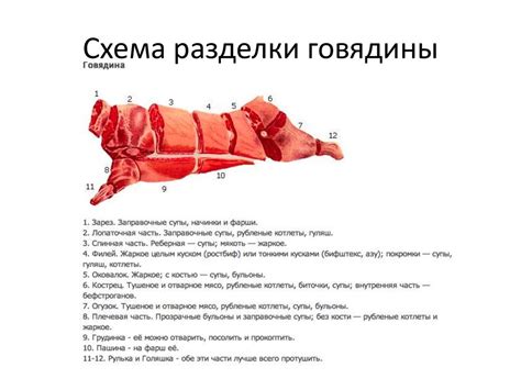 Какая часть говядины постная. схемы разделки говядины. рациональное ...