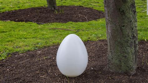 Biodegradable burial pod turns your body into a tree - CNN