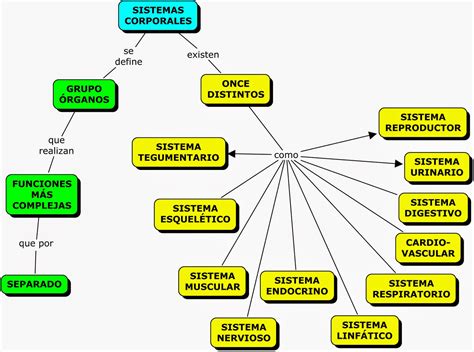 Mapa Conceptual Del Cuerpo Humano Con Todos Sus Sistemas Porn Sex Picture