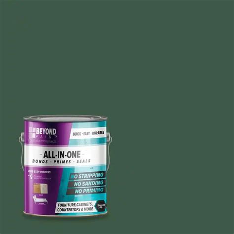 beyond paint review
