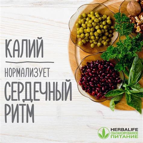 Калий – жизненно важный элемент для организма человека. Он участвует в ...