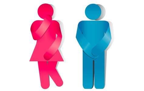 Incontinence Urinaire Symptomes Causes Et Traitements