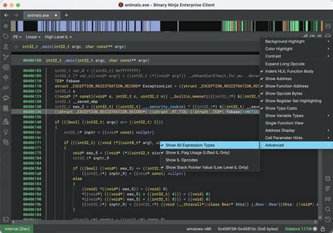 Binary Ninja Debug Visualizations