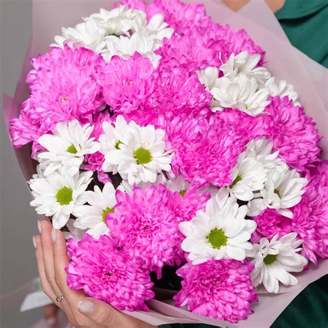 Букет из 9 розовых и белых кустовых хризантем купить в СПб | Фото и ...