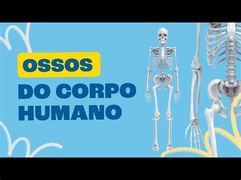 Quantos Ossos Tem O Corpo Humano Infantil - Ossos Do Corpo Humano De Volta Bebês Têm Quase 100 Ossos A Mais Que