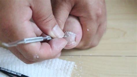 Man Nail Pornhub Gay