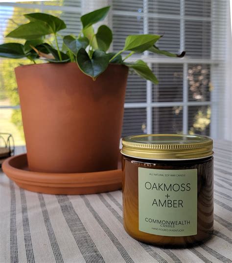 Oakmoss And Amber Soy Candle And Melt Commonwealth Candle