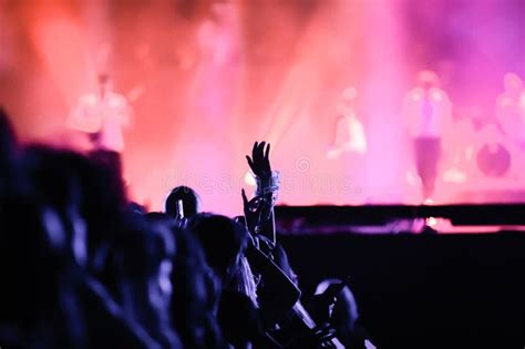 Crowd Partying Stage Lights Live Concert Summer Music Festival Stock