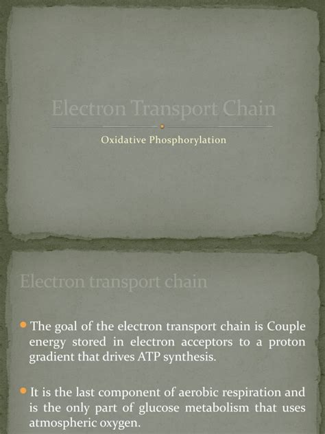 Electron Transport Chain | PDF