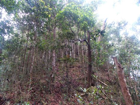 Gunung Daik Gunung Bagging