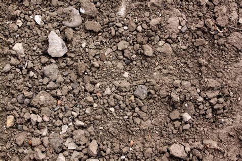 Ground Dirt Soil Free Texture