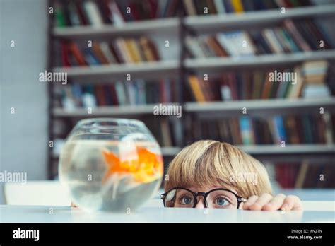 Boy With Goldfish Stock Photo Alamy