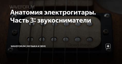 Анатомия электрогитары. Часть 3: звукосниматели | WaveForum | Музыка и ...
