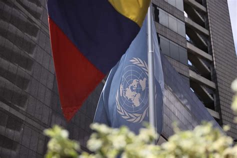 Panel De Expertos De La ONU Presenta Su Informe Preliminar Sobre La