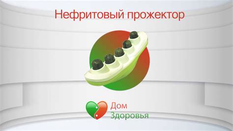 Нефритовый прожектор. Прижигание. Дом Здоровья. - YouTube