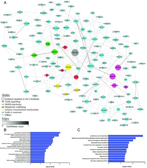 Protein Protein Interaction Network Of Common Differentially Expressed